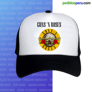 Gorro Truck Rock Guns N' Roses / M01
