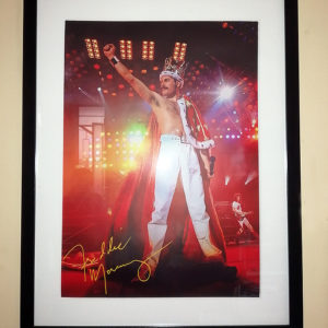 Cuadro - Freddie Mercury / Queen